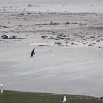 Photo taken by Rand M