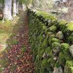 Photo taken by Danielle P