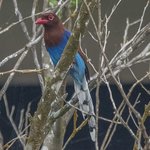 Photo taken by Graham D