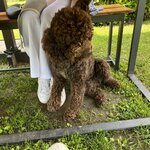 Photo taken by jennifer j