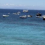 Photo taken by Judi S