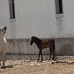 Photo taken by Shree L