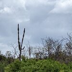 Photo taken by Jennifer A