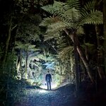 Photo taken by Linda F