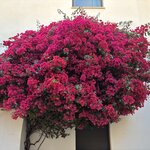 Photo taken by Larry R