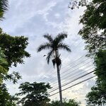 Photo taken by Esther B