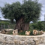 Photo taken by Lori H