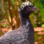 Photo taken by Dennis H