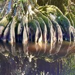 Photo taken by KLAUS A