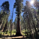 Photo taken by Silvain B