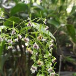 Photo taken by Kathy K