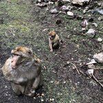 Photo taken by Leslie P