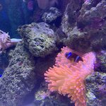 Photo taken by Julie H