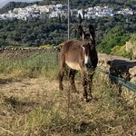 Photo taken by Dorothy H