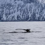 Photo taken by Marsha W