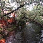 Walk through the city | Photo taken by florence P