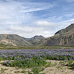 Photo taken by Debbie W