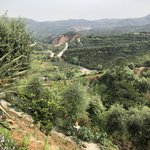 Photo taken by Liz S