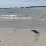 Photo taken by Stephanie A