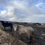 Photo taken by Jessica A