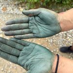 Photo taken by Dennis H