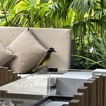 Photo taken by Lauren K