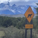 Photo taken by Marcia R