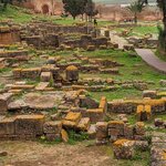 Photo taken by Cynthia D