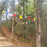 Photo taken by Jane G