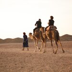 Photo taken by Becky S