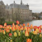 Photo taken by Shannon F