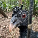 Photo taken by Andrew S