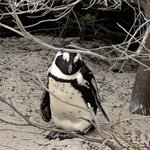 Photo taken by Glicelda B