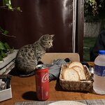 Photo taken by Patricia O