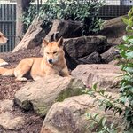 Photo taken by Judy H