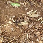 Photo taken by Elena R