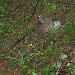 Photo taken by Trevor W