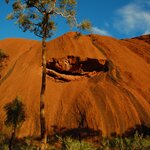 Photo taken by Sean M