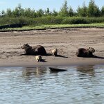 Photo taken by Dion F