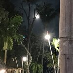 Photo taken by Shaula L