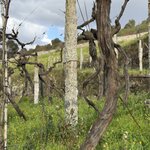 Photo taken by Tracy A