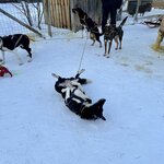 Photo taken by Christa C