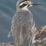 Photo taken by Graham D