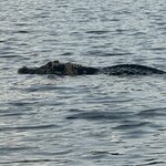 Photo taken by Mark A