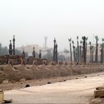 New road way to Luxor Temple. | Photo taken by John B