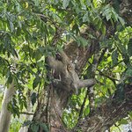 Photo taken by Touraj K