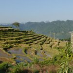 Photo taken by Patricia H