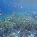 Photo taken by Dixie W