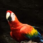 Photo taken by Patricia D