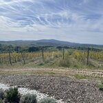 Photo taken by Karen C